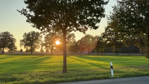 Sunset with trees Stock Footage 289296856