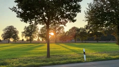 Sunset with trees Stock Footage 289296857