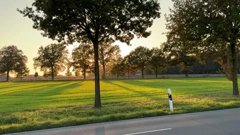 Sunset with trees Stock Footage 289296863