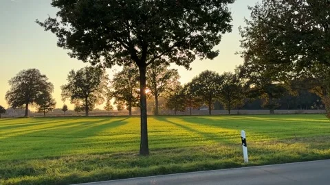 Sunset with trees Stock Footage 289296883