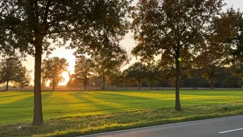 Sunset with trees Stock Footage 289296929