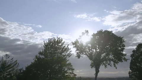 Sunset with trees foreground. Stock Footage 135780455
