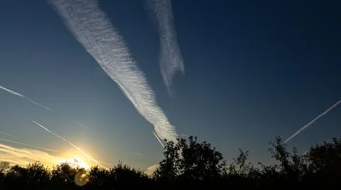 A sunset with trees in front and jet trails in the sky Stock Photos