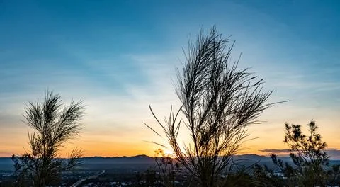 Sunset with trees in front and mountains in the back Stock Photos