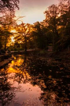 Sunset, Trees, Lake Фото