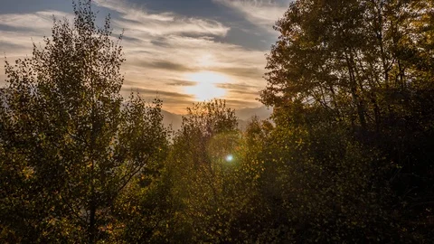 Sunset Trees Mountain Alps Autumn Switzerland Aerial 4k Stock Footage 99678665