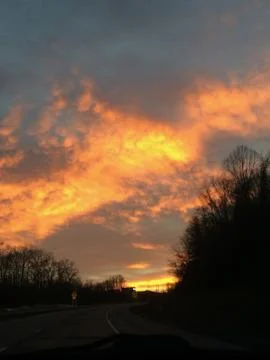 Sunset Trees Stock Photos