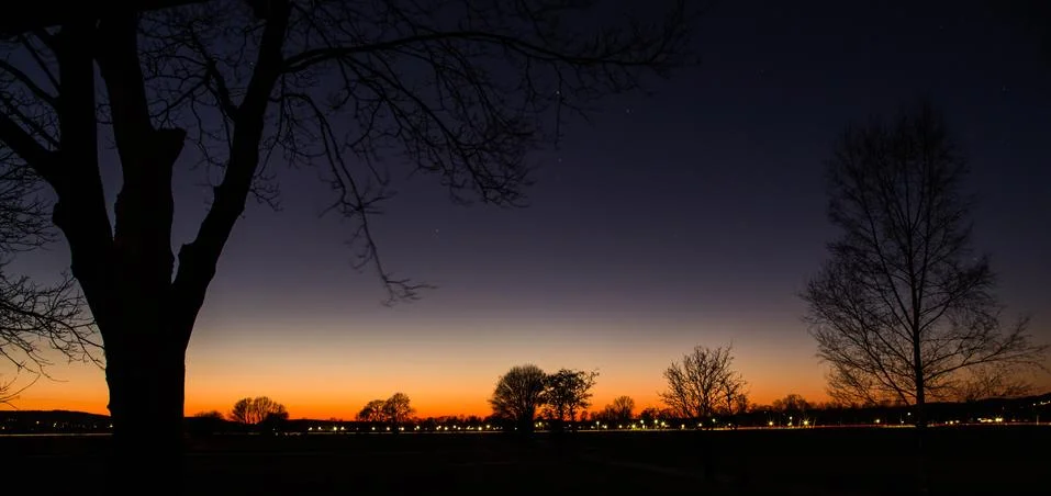 Sunset with trees Foto stock