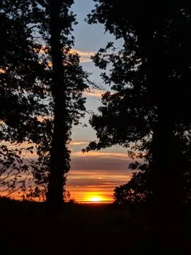 Sunset With Trees Stock Photos
