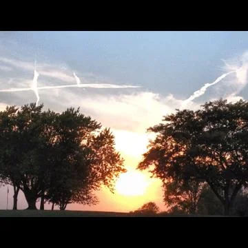 Sunset with Trees Stock Photos
