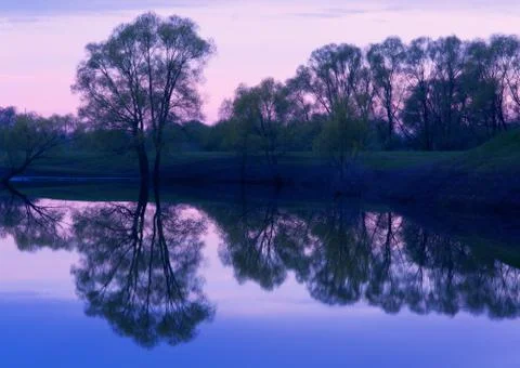 Sunset trees reflections Stock Photos