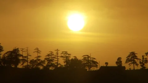 Sunset, trees, silhouette, filter, Yellow sky, india Stock Footage 125747251