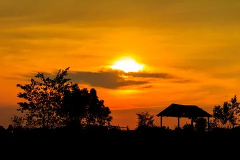 Sunset with a trees silhouette at sunset Stock Photos