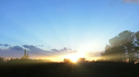 Sunset trees tl 2 Stock Footage 21425744