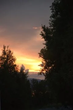 Sunset treetops Stock Photos