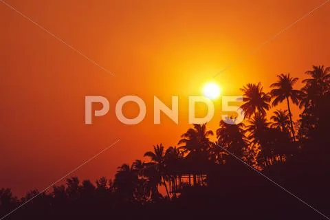 Sunset on tropical beach with palm trees silhouettes Stock Photos