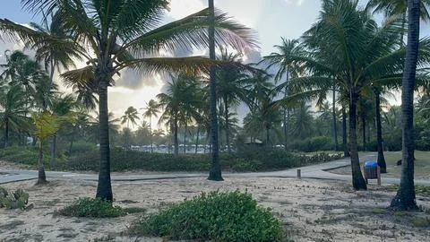 Sunset on tropical beach with palm trees Stock Photos