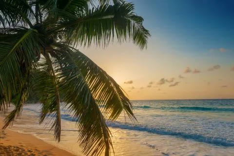 Sunset on tropical beach Stock Photos