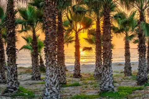 Sunset on tropical beach Stock Photos