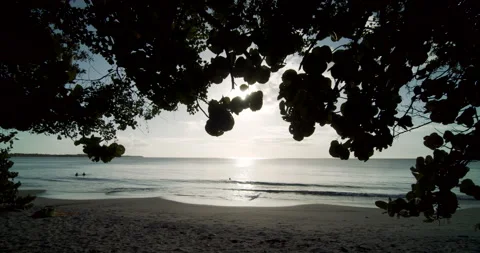 Sunset Tropical Beach/gimbal moving forward 4K Stock Footage 152866005