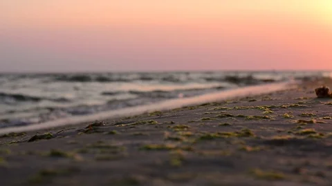 Sunset on the tropical coast Stock Footage 76410938