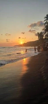 Sunset on tropical coastline Stock Photos