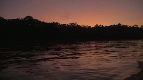 Sunset in a tropical forest from a boat in the Amazon, Peru Stock Footage 237177580
