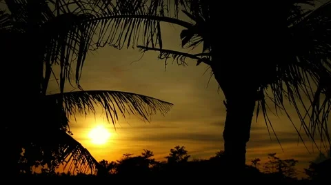 Sunset on a tropical island Stock Footage 44839251