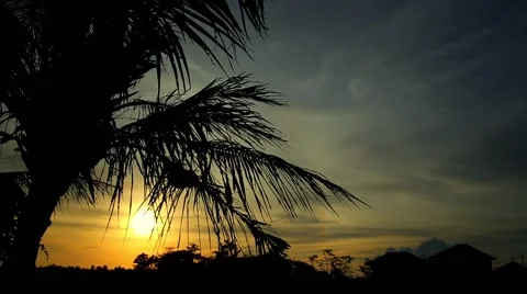 Sunset on a tropical island Stock Footage 44839261