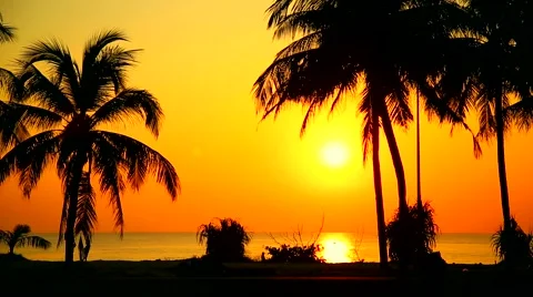 Sunset on the tropical island Stock Footage 45595740