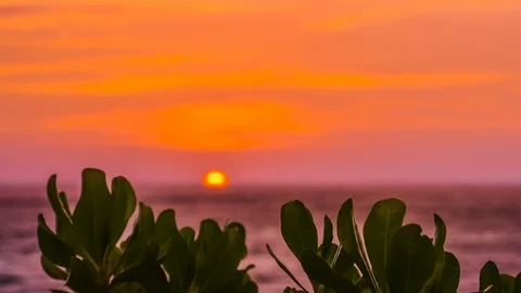 Sunset on a tropical island Stock Footage 87816011