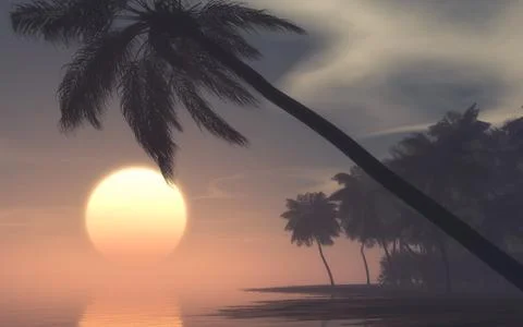 Sunset on tropical island Illustrazione stock