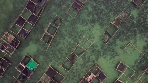 Sunset in the tropical islands Stock Footage 302998963