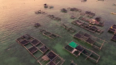 Sunset in the tropical islands Stock Footage 302999505