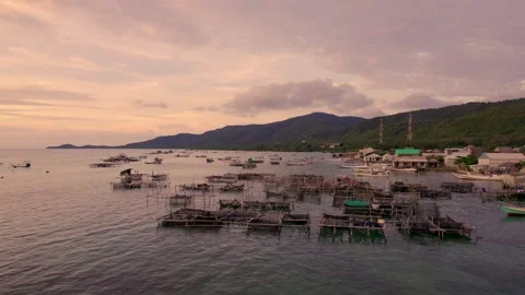 Sunset in the tropical islands Stock Footage 303034861