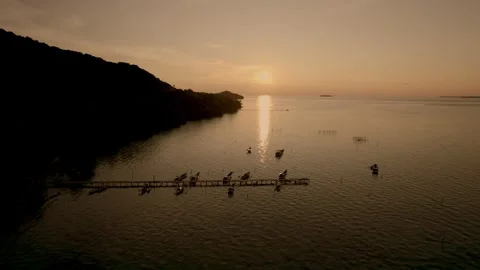 Sunset in the tropical islands Stock Footage 303119976