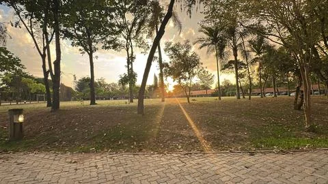 Sunset in Tropical Park Stock Photos