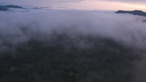 Sunset in Tropical Rainforest Stock Footage 164881536