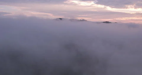 Sunset in Tropical Rainforest Stock Footage 164881662