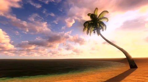 Sunset in tropical setting with passing flock of birds Stockbeeldmateriaal 43397990