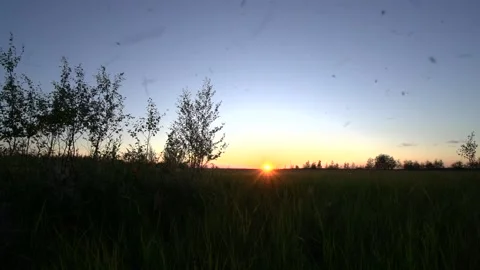 Sunset in the tundra 動画素材 170058708