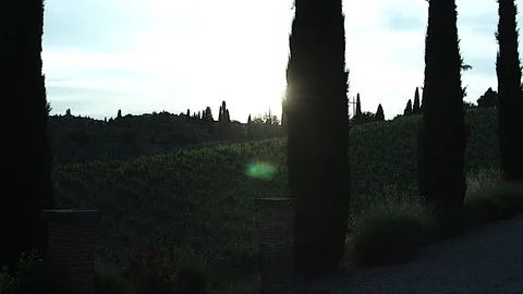 Sunset Tuscany Hills Stock Footage 86666448
