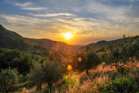Sunset in Tuscany Stock Photos