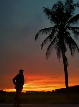 Sunset, twilight, farm​er, evening​ 스톡 사진