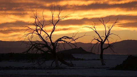 Sunset twilight shot of two trees against mountains with beautiful clouds Stock Footage 129922708