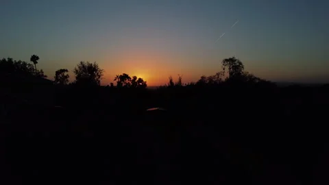 Sunset Twilight Sky With Dark Tree Silhouettes Stockbeeldmateriaal 335735596