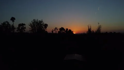 Sunset Twilight Sky With Dark Tree Silhouettes Flying Forward Stockbeeldmateriaal 335735806
