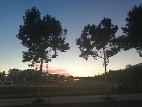 Sunset with two trees at street Stock Photos