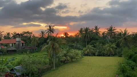 Sunset in Ubud Stock Footage 156368259