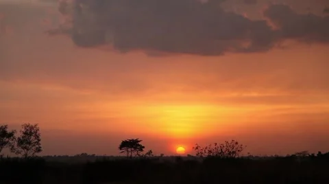 Sunset Uganda tight Video stock 50619925